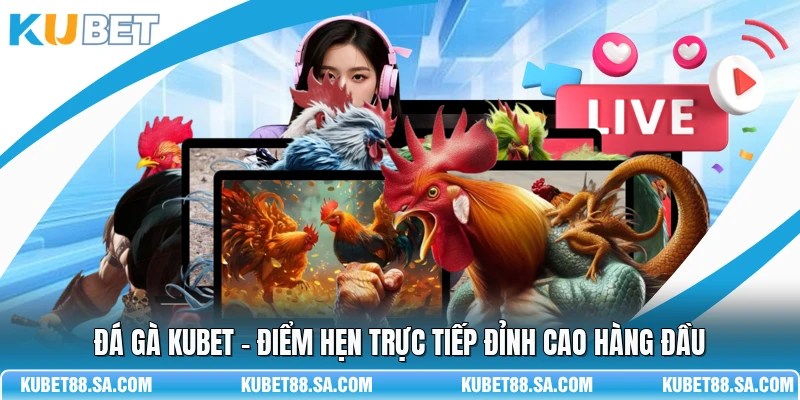 Đá Gà Kubet - Điểm Hẹn Trực Tiếp Đỉnh Cao Hàng Đầu