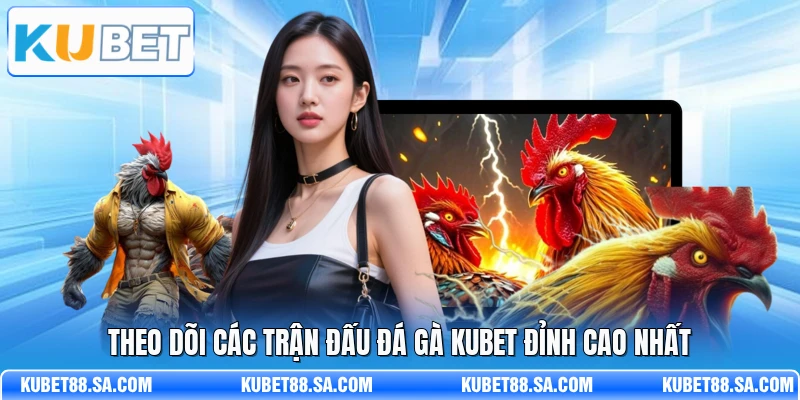 Theo dõi các trận đấu đá gà Kubet đỉnh cao nhất